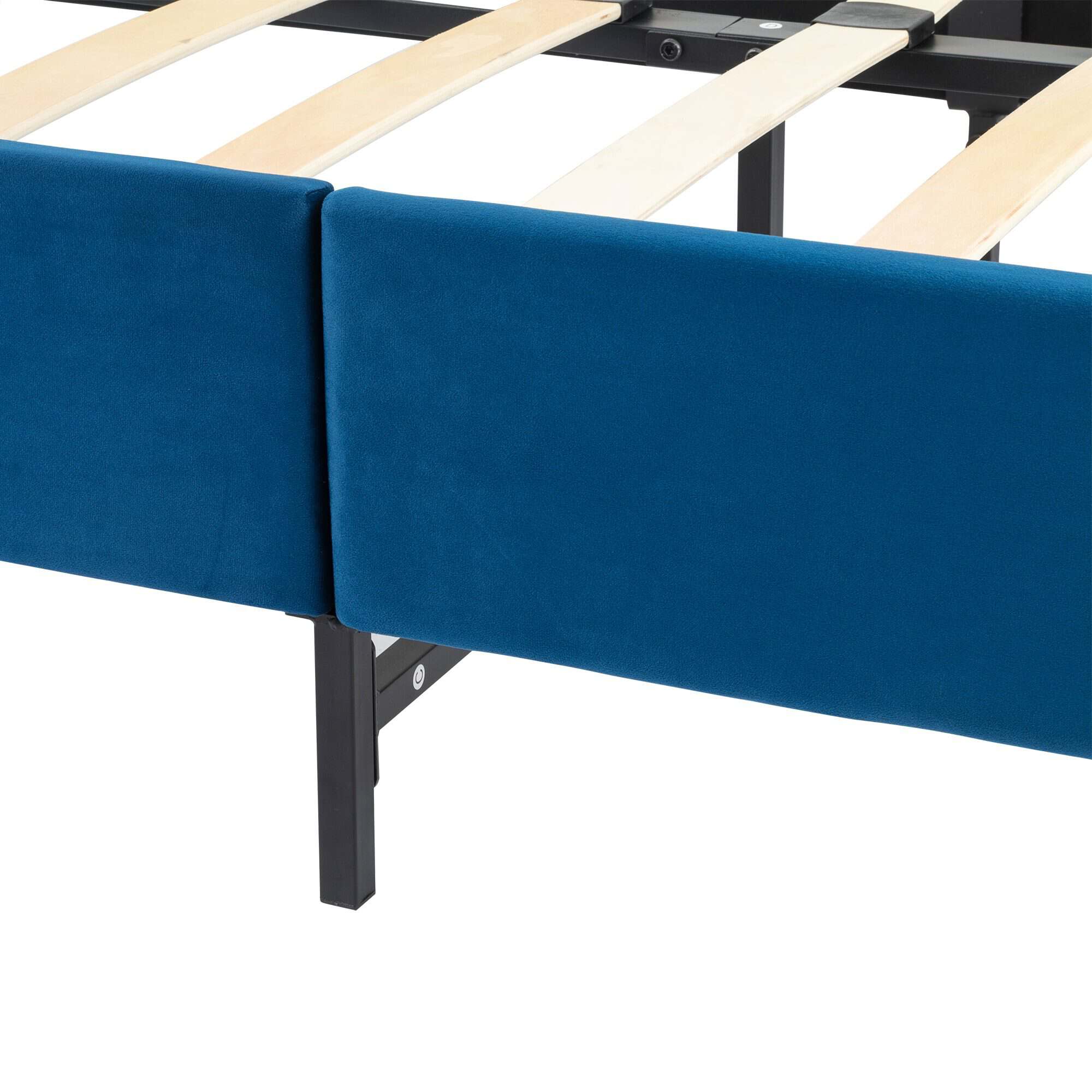 BFS-206F-BLU