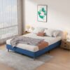 BFS-206F-BLU